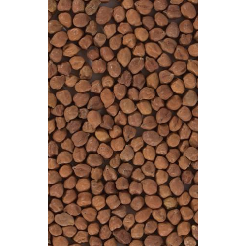 Chana-Brown-3