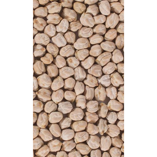 Kabuli-Chana-3