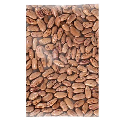 Rajma-2