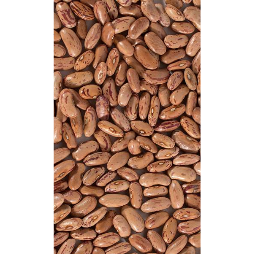 Rajma-3
