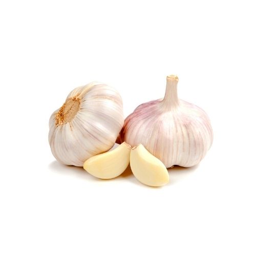 Garlic-1